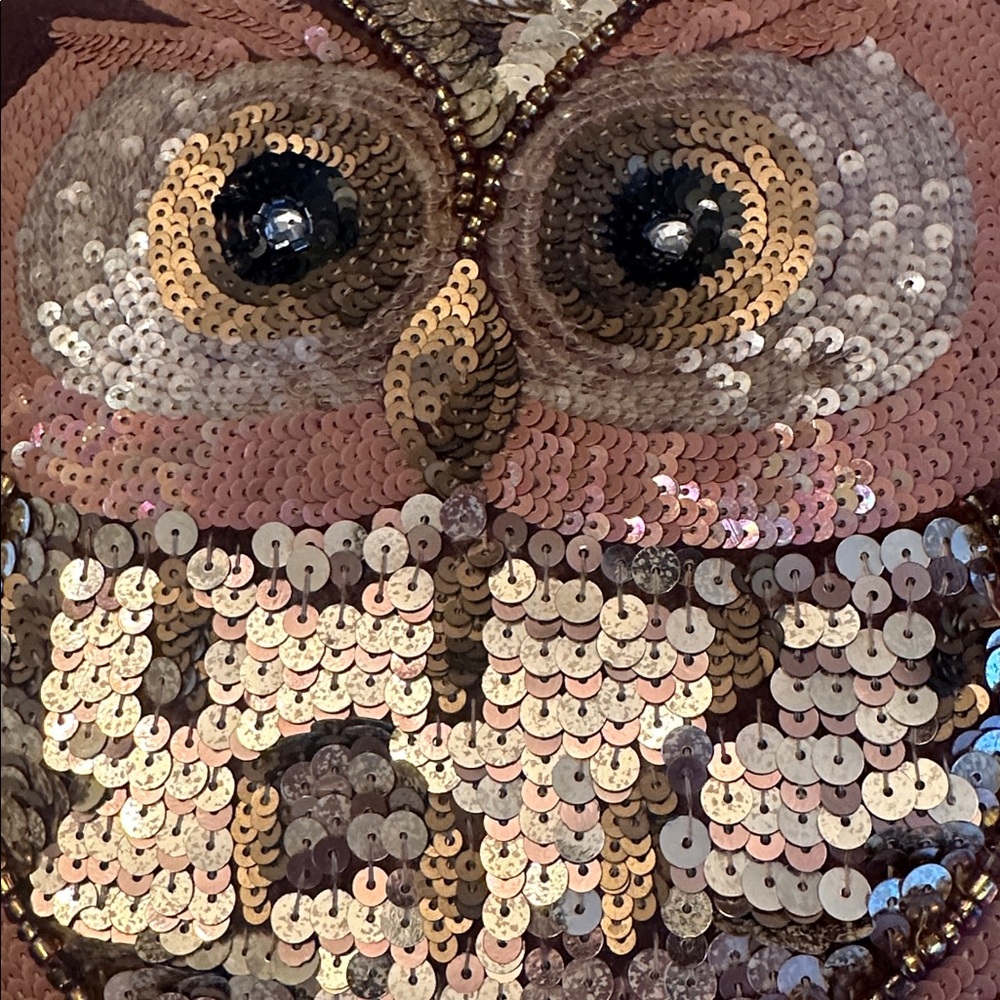 Pier 1 Imports Beaded Sequin Owl Brown Velvet Pillow 14" Square Fall Decor - Picture 5 of 13